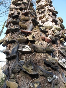 Boot Tree