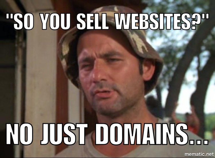 you sell websites? No just domains