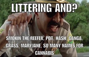 dsad auction recap cannabis meme