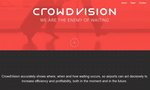 CrowdVision