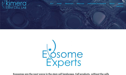 Exosomes